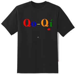 Qo-Qí Logo
